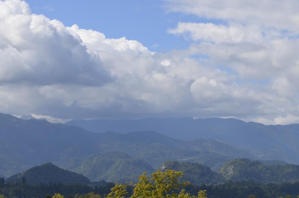 Grajski Dvor Radovljica Εξωτερικό φωτογραφία